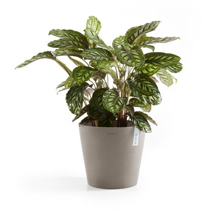 Ecopots Amsterdam gråbrun 30 cm Ecopots Amsterdam gråbrun 30 cm